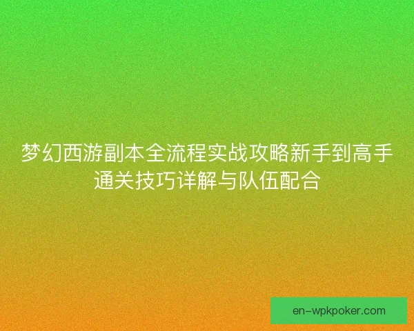梦幻西游副本全流程实战攻略新手到高手通关技巧详解与队伍配合